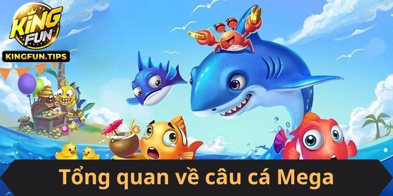 Một vài điều về Câu Cá Mega dành cho bạn