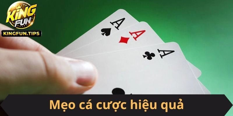 Mẹo cá cược hiệu quả