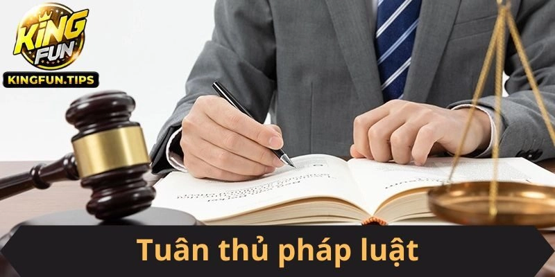 cổng game cần có miễn trừ trách nhiệm theo yêu cầu của pháp luật