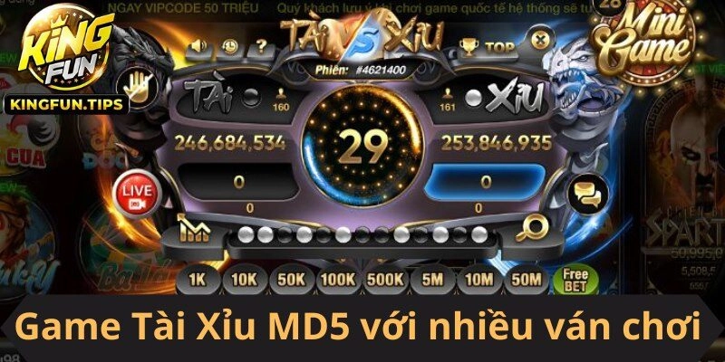 Game Tài Xỉu MD5 với nhiều ván chơi hấp dẫn