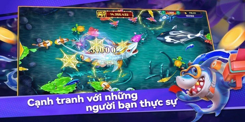 Những lưu ý quan trọng