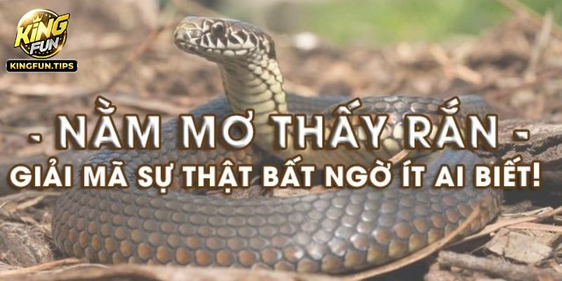 Chi tiết về việc nằm mơ thấy rắn - Điềm báo lành hay dữ?